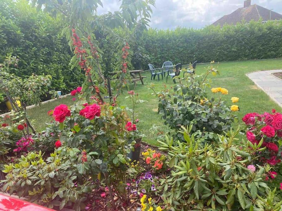 Lovely 1 Bed Studio Apartment With Free Parking Oxford Kültér fotó
